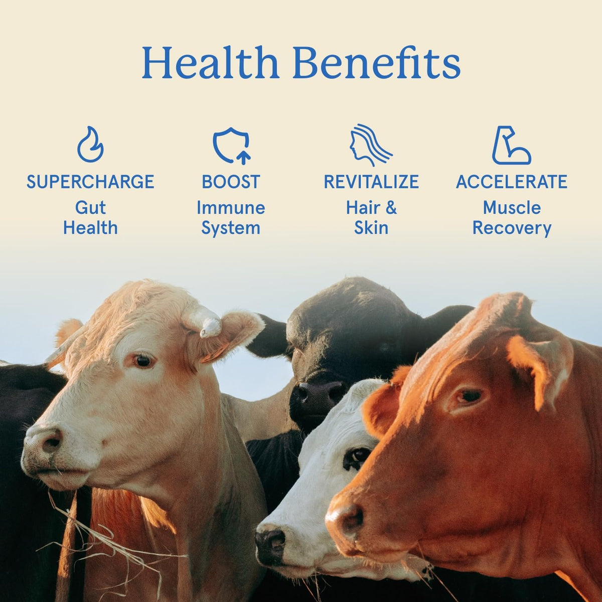 Equip Foods Core Bovine Colostrum Gummies - 60 Gominolas de Calostro Bovino, 1g por Ración, Sabor Frambuesa – Image 3