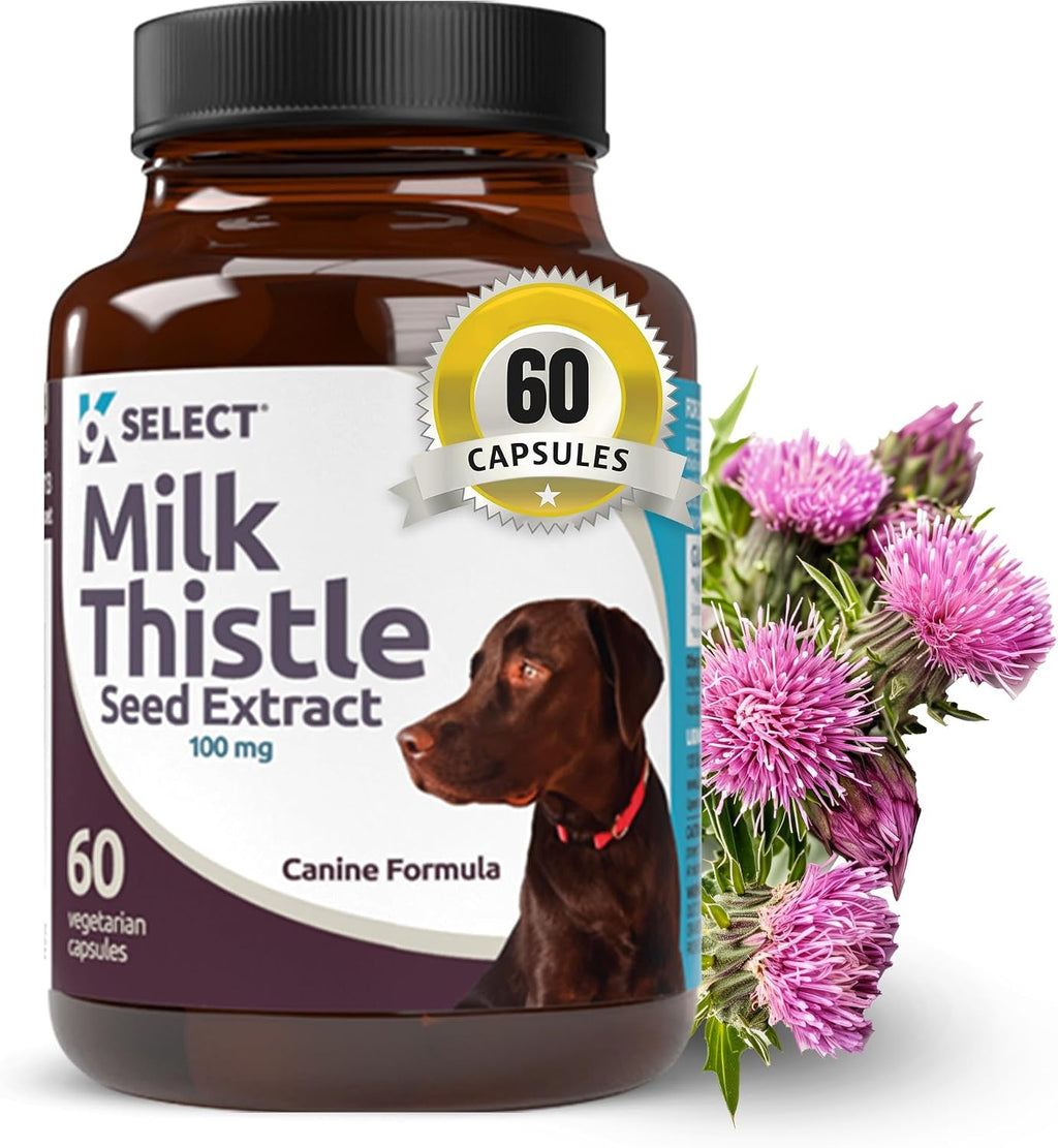 Milk Thistle for Dogs, 100mg - 60 Vegetable Capsules - Canine Liver Supplement