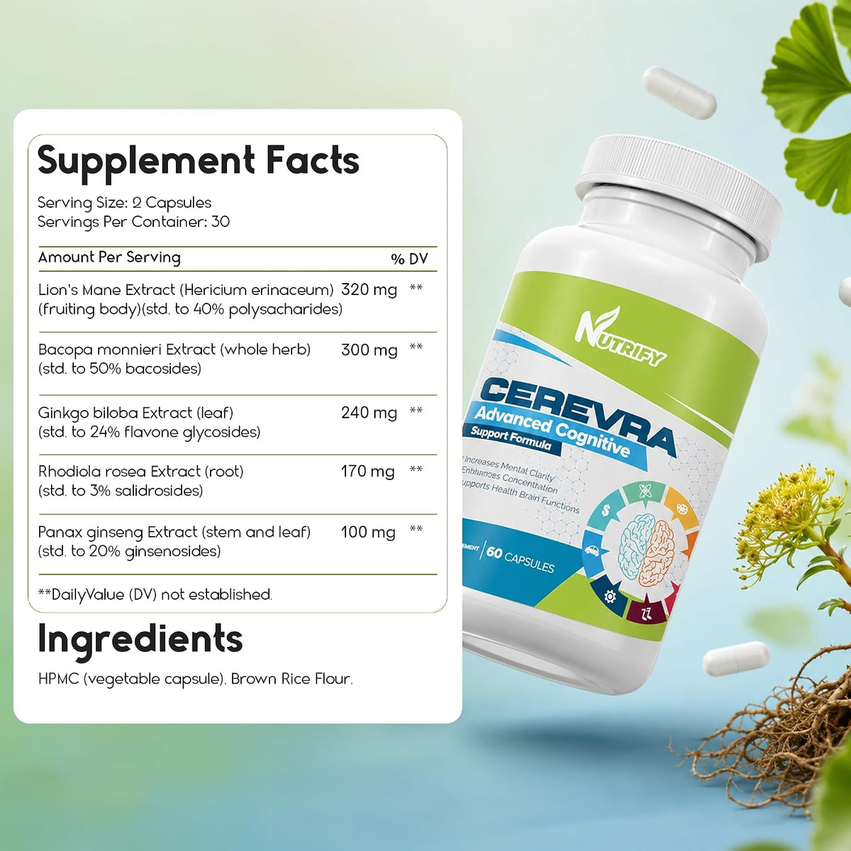 Cerevra - Potente Nootrópico, Máxima Absorción, Sin OGM, Fabricado en EE. UU. – Image 2