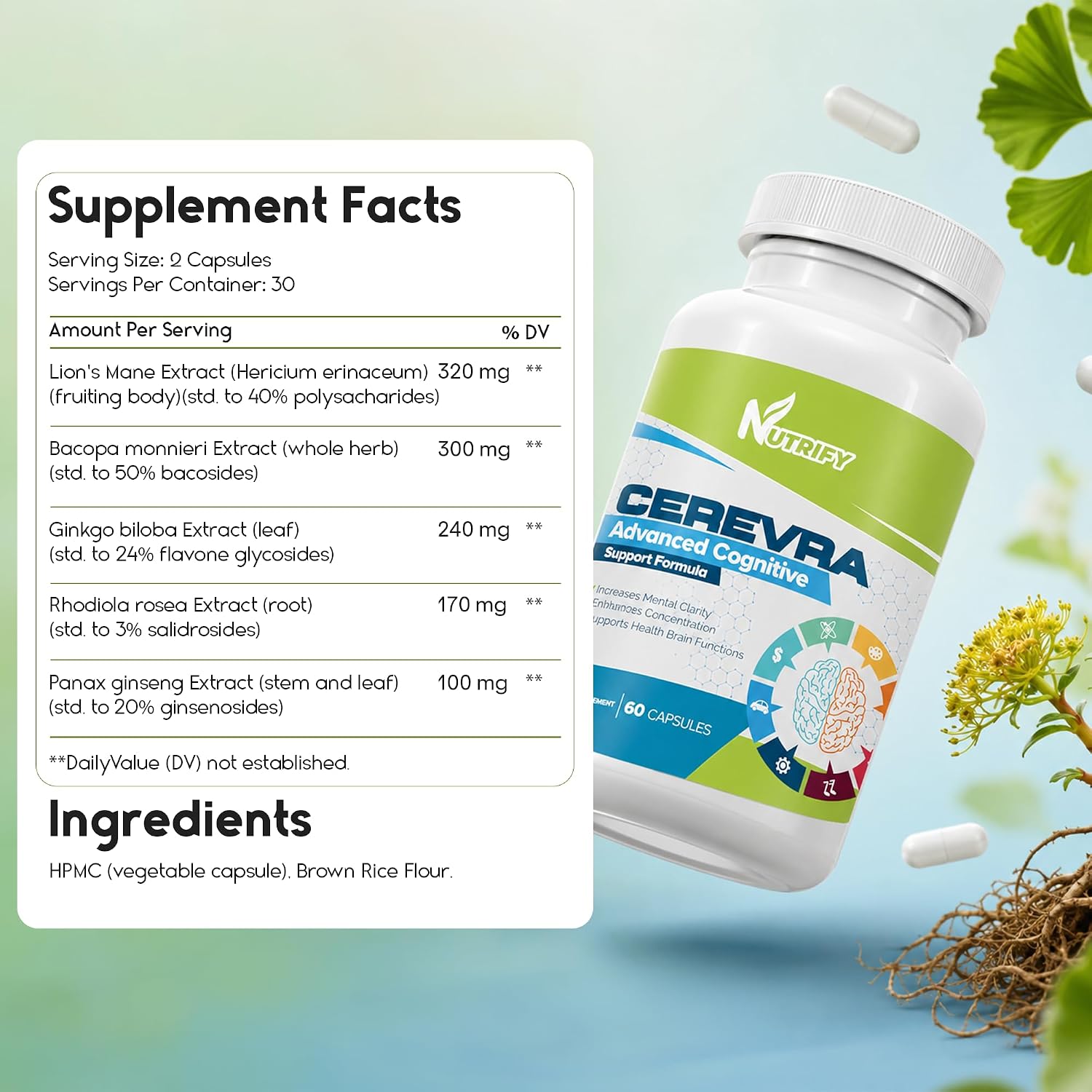 Cerevra - Potente Nootrópico, Máxima Absorción, Sin OGM, Fabricado en EE. UU.