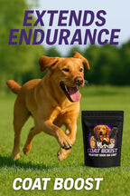 Fórmula CPN Coat Boost para perros, 2.5 lb