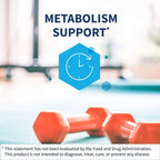 Klaire Labs SFI Health Berberine HCI 500mg - Suplemento de Berberina - Sin Gluten, Hipoalergénico (120 Cápsulas)