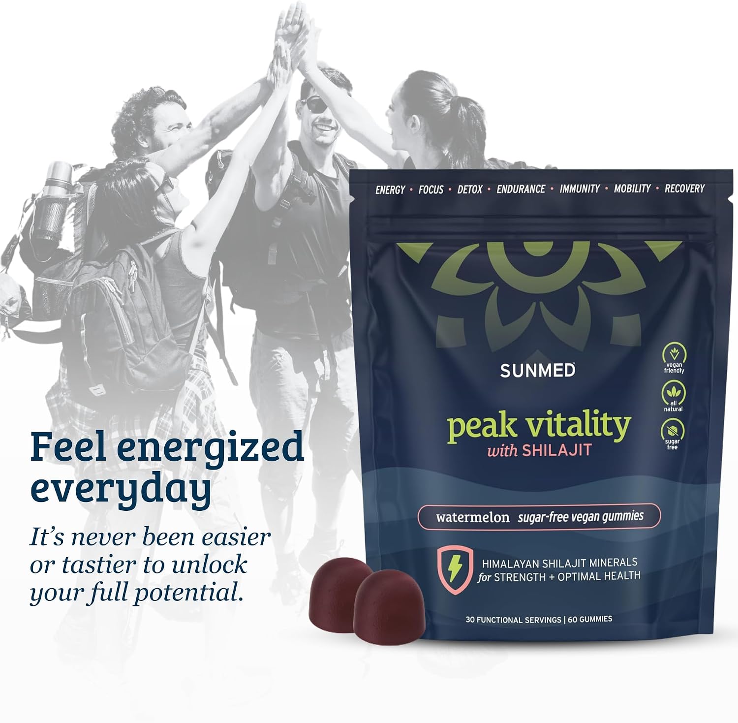 Pink Vitality Gominolas de Shilajit del Himalaya para Fuerza, Energía y Concentración Cognitiva | Sin Azúcar | Vegano | Natural | Sandía