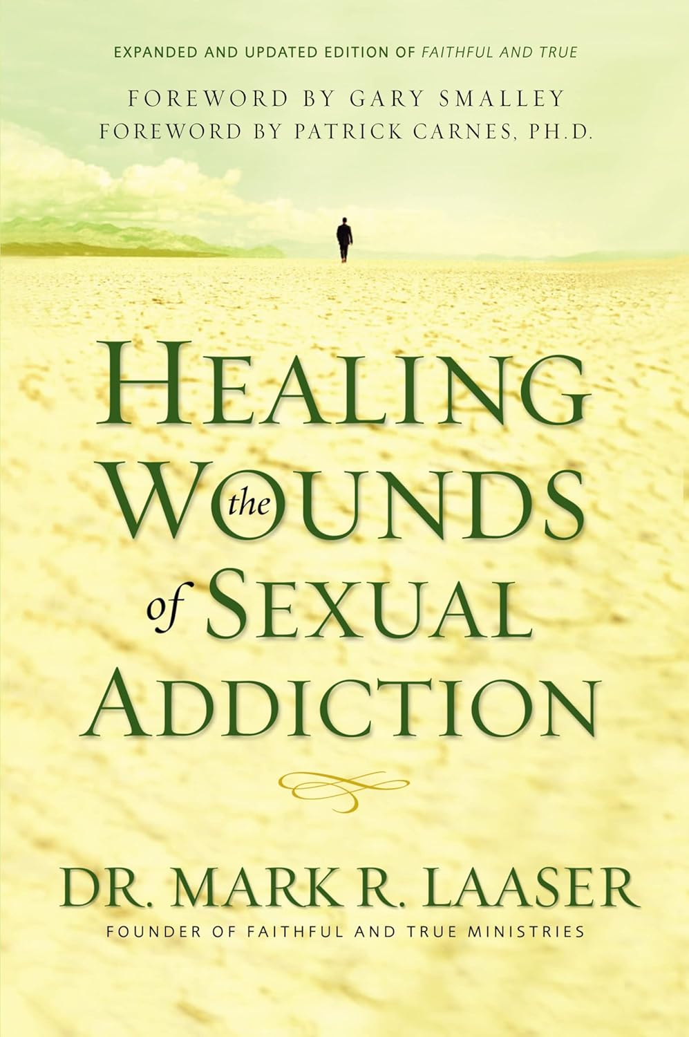 Healing the Wounds of Sexual Addiction: Discover the Practical and Spiritual Steps to Lasting Recovery
