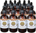 Huang Bo (Phellodendron Chinense) Tintura Extracto Líquido - Pack de 15 Botellas de 118 ml