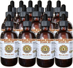 Huang Bo (Phellodendron Chinense) Tintura Extracto Líquido - Pack de 15 Botellas de 118 ml