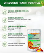 Gominolas de Sea Moss BIO VITALICA - Irish Moss Orgánico, Bladderwrack, Burdock Root
