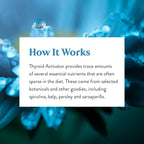 Nature's Sunshine Thyroid Activator 100 Cápsulas
