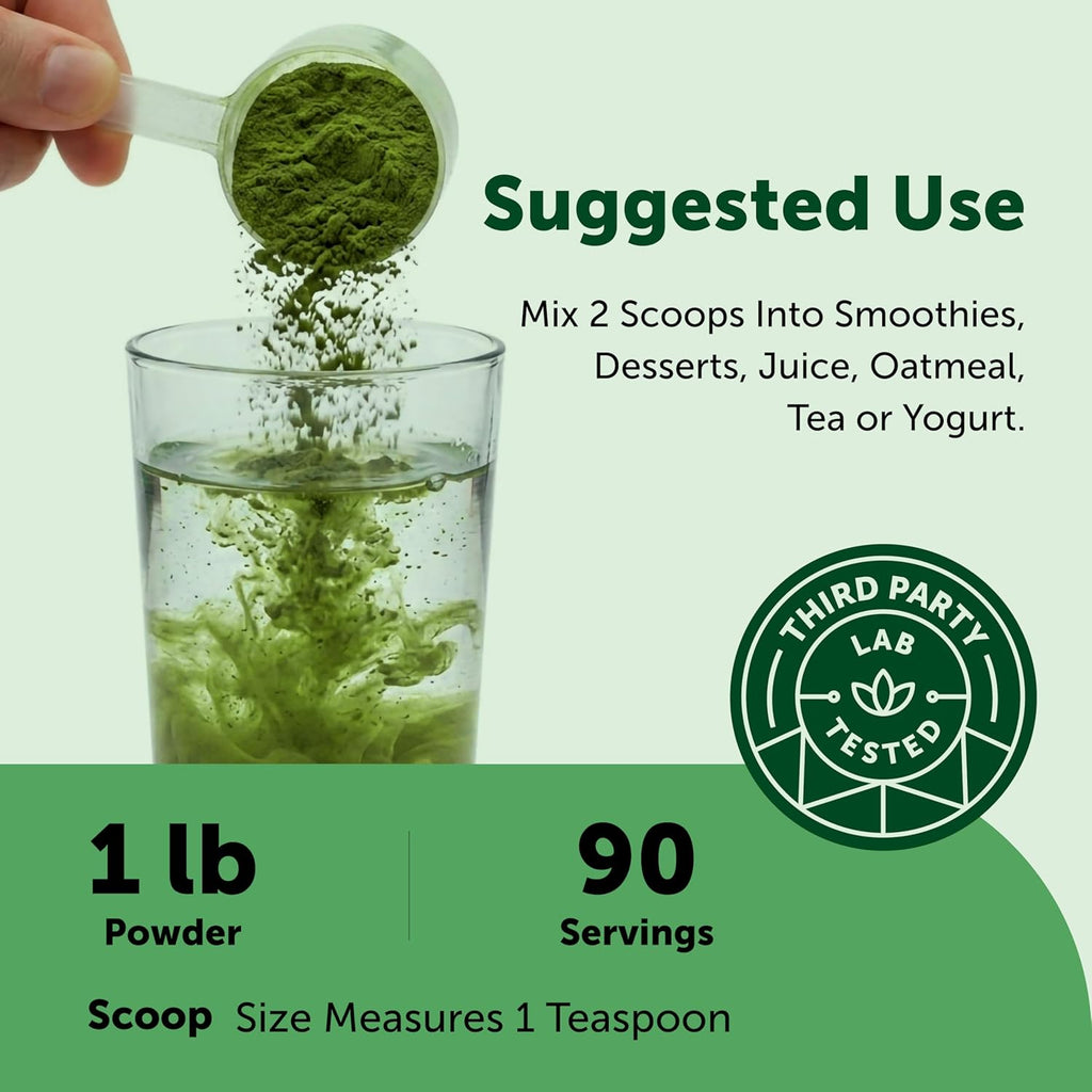 Micro Ingredients Polvo de Brócoli Orgánico, 454 g | Brócoli Crudo en Polvo | para Batidos, Bebidas y Recetas | Ecológico, Sin OMG, Sin Gluten, Vegano
