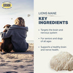 Lion's Mane para Perros – Setas Orgánicas Enteras – Apoyo Cognitivo Natural – 60 Días (Suministro para Perros Grandes)