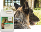 UltraCruz Aceite de Salmón Puro para Perros, Recambio de 1 Galón (3.78 L)