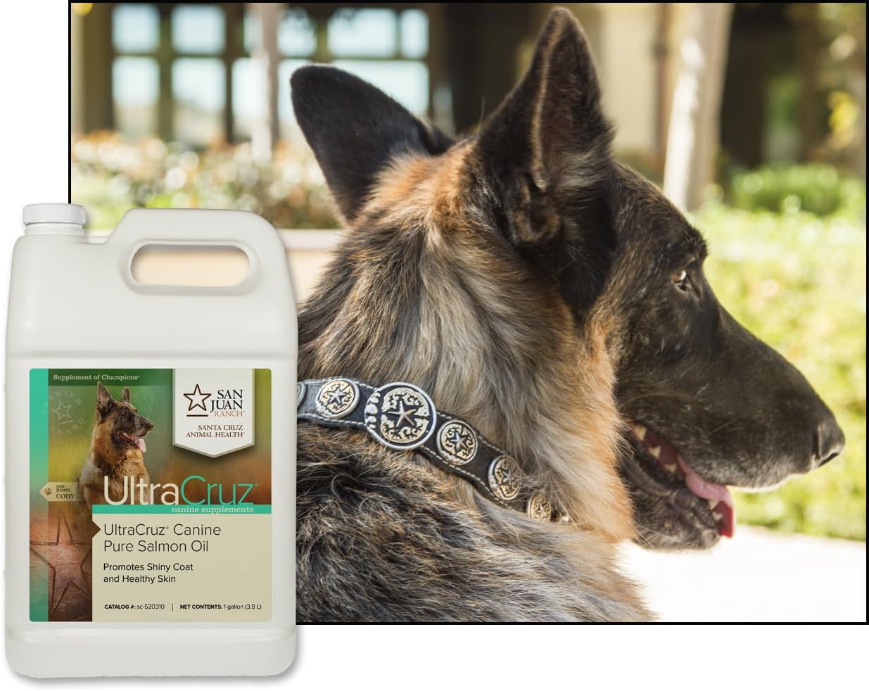 UltraCruz Aceite de Salmón Puro para Perros, Recambio de 1 Galón (3.78 L)