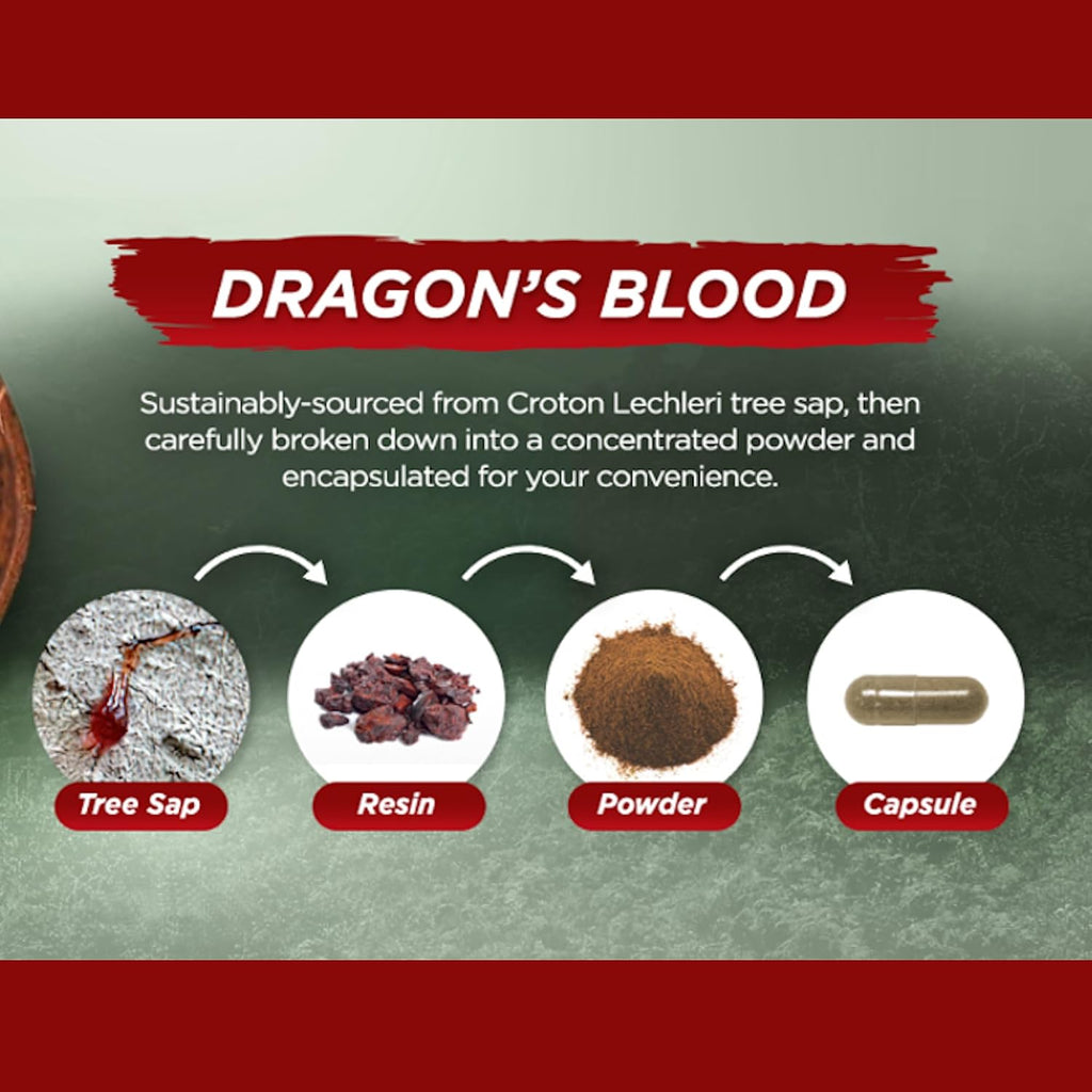 Vital Planet – Sangre de Dragón (Extracto de Resina de Croton lechleri) 500 mg – 60 Cápsulas