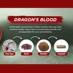 Vital Planet – Sangre de Dragón (Extracto de Resina de Croton lechleri) 500 mg – 60 Cápsulas