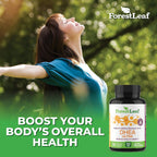 ForestLeaf DHEA 100mg - 90 Cápsulas - Suplemento de DHEA Micronizado