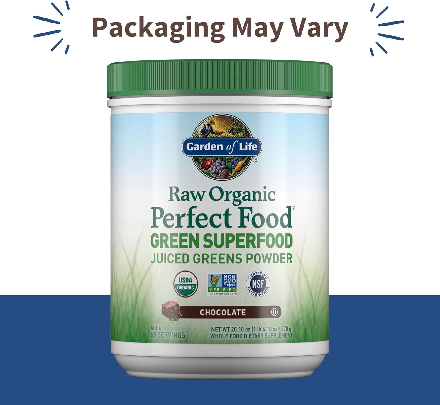 Garden of Life Raw Organic Perfect Food Green Superfood Juiced Greens Powder - Chocolate, 60 Raciones