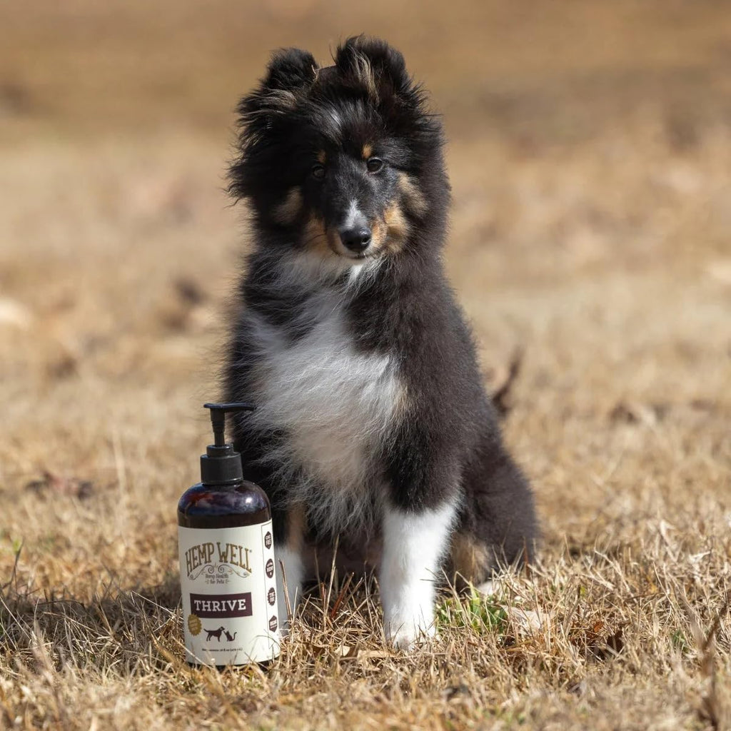 Hemp Well Thrive Oil - Aceite de Cáñamo Orgánico para Perros y Gatos (473 ml)