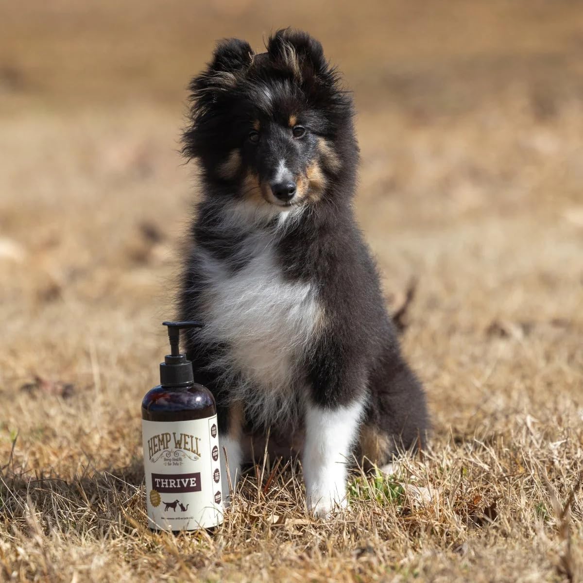 Hemp Well Thrive Oil - Aceite de Cáñamo Orgánico para Perros y Gatos (473 ml)