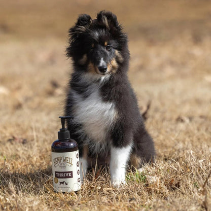 Hemp Well Thrive Oil - Aceite de Cáñamo – Perros y gatos de menos de 10 kg: 1/2 cucharadita (2.5 ml) al día. – Image 4