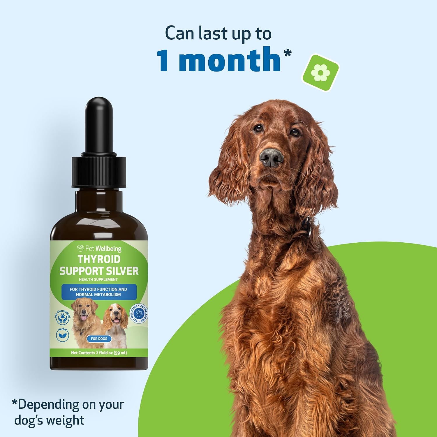 Pet Wellbeing Thyroid Support Silver para Perros – Apoyo Tiroideo Holístico con Ashwagandha y Forskohlii – 60 ml