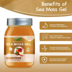 Seamoss Raw Gel con Irish Sea Moss - Suplemento de Musgo Marino - 524g (Sabor Manzana Canela)