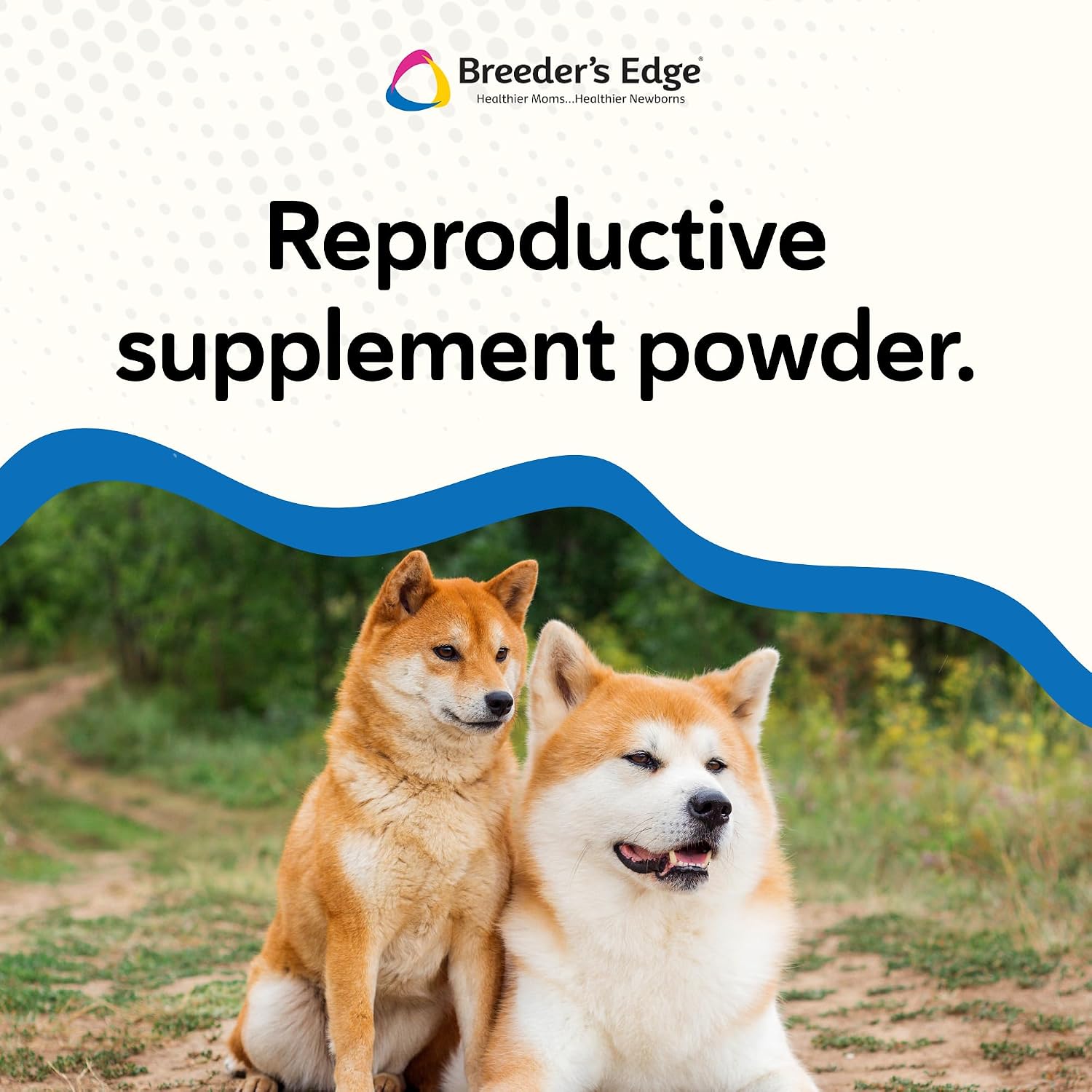 Breeder's Edge Problem Male Powder para Perros y Gatos, 225 g