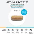 XYMOGEN Methyl Protect - 3.400 mcg 5-MTHF (Metilfolato) - Apoyo Cardiovascular y Neurológico - Vitaminas B Activadas - Vegetariano y Sin Gluten - 60 Cápsulas