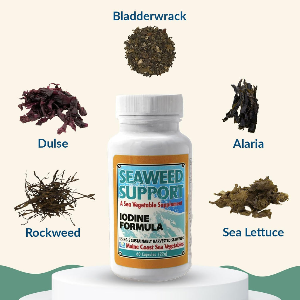 Maine Coast Sea Vegetables Seaweed Support Fórmula de Yodo | Fuente de Yodo de Algas Marinas | Suplemento Diario de Yodo | Mezcla Orgánica de Alaria, Rockweed, Sea Lettuce, Dulse y Bladderwrack | 60 Cápsulas