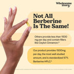 Wholesome Story Berberina 1500mg - 90 Cápsulas de Berberina HCL con 97% de Pureza Estandarizada