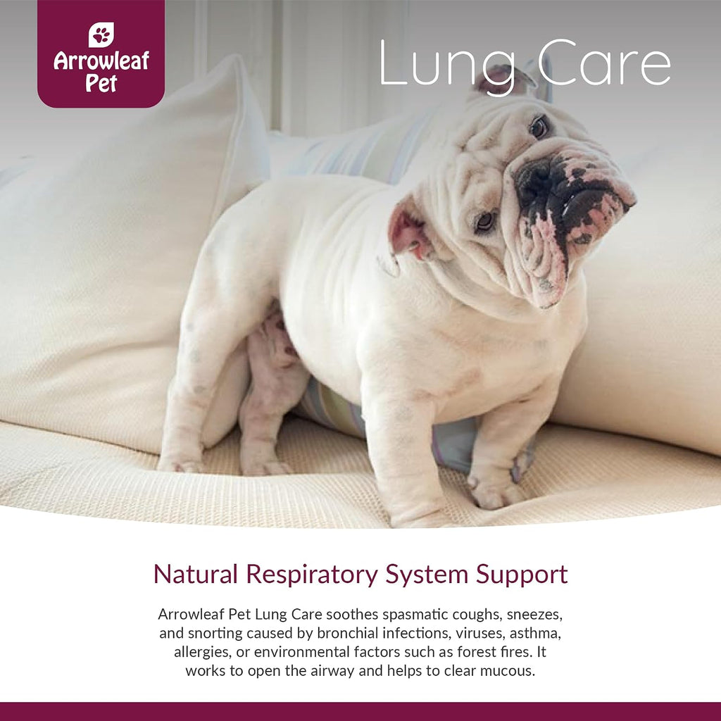 Lung Care de NaturPet Inc para Perros y Gatos | Tintura Herbal 100mL | Apoyo Respiratorio para Mascotas con Problemas de Respiración