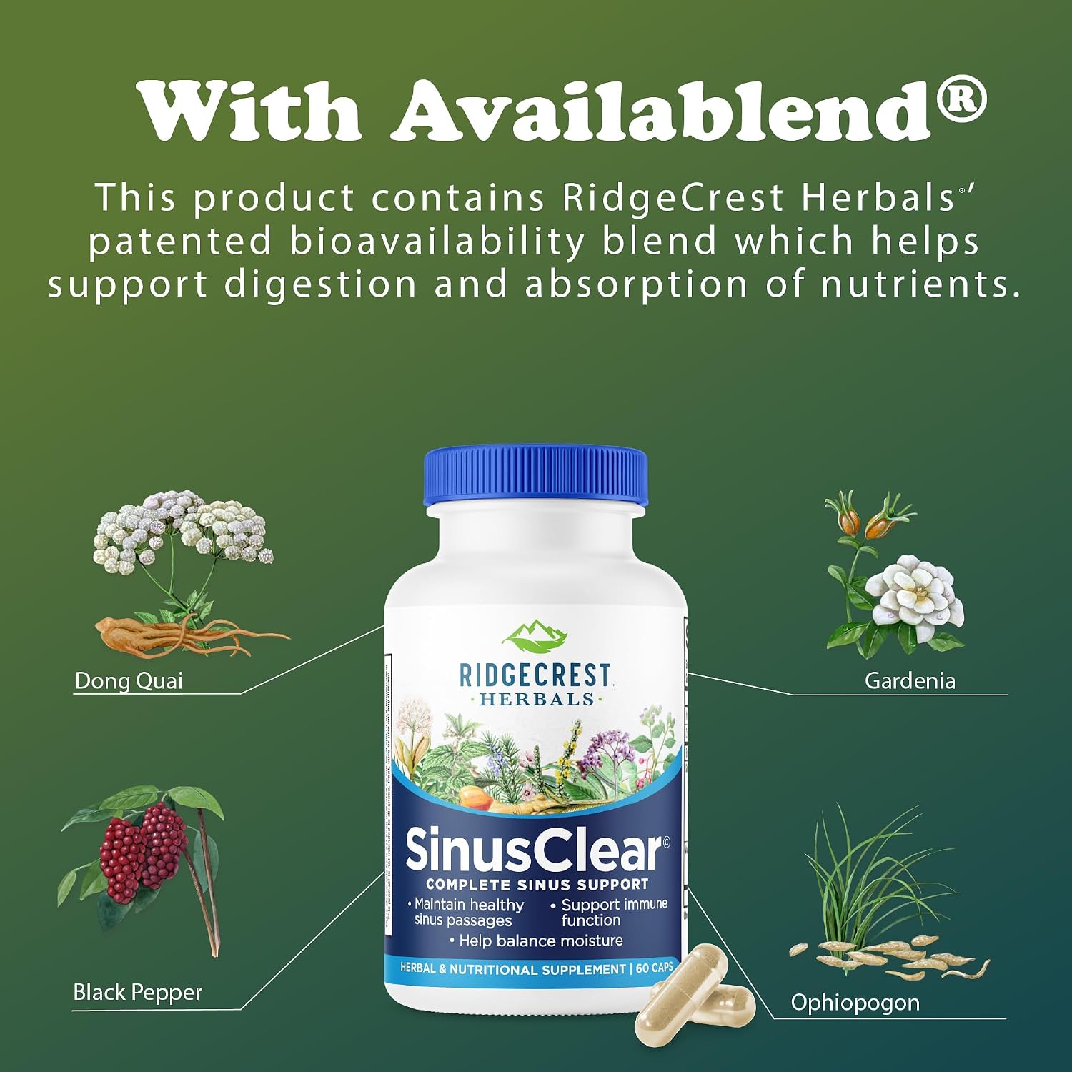 RidgeCrest Herbals SinusClear - Complete Sinus and Respiratory Health Formula