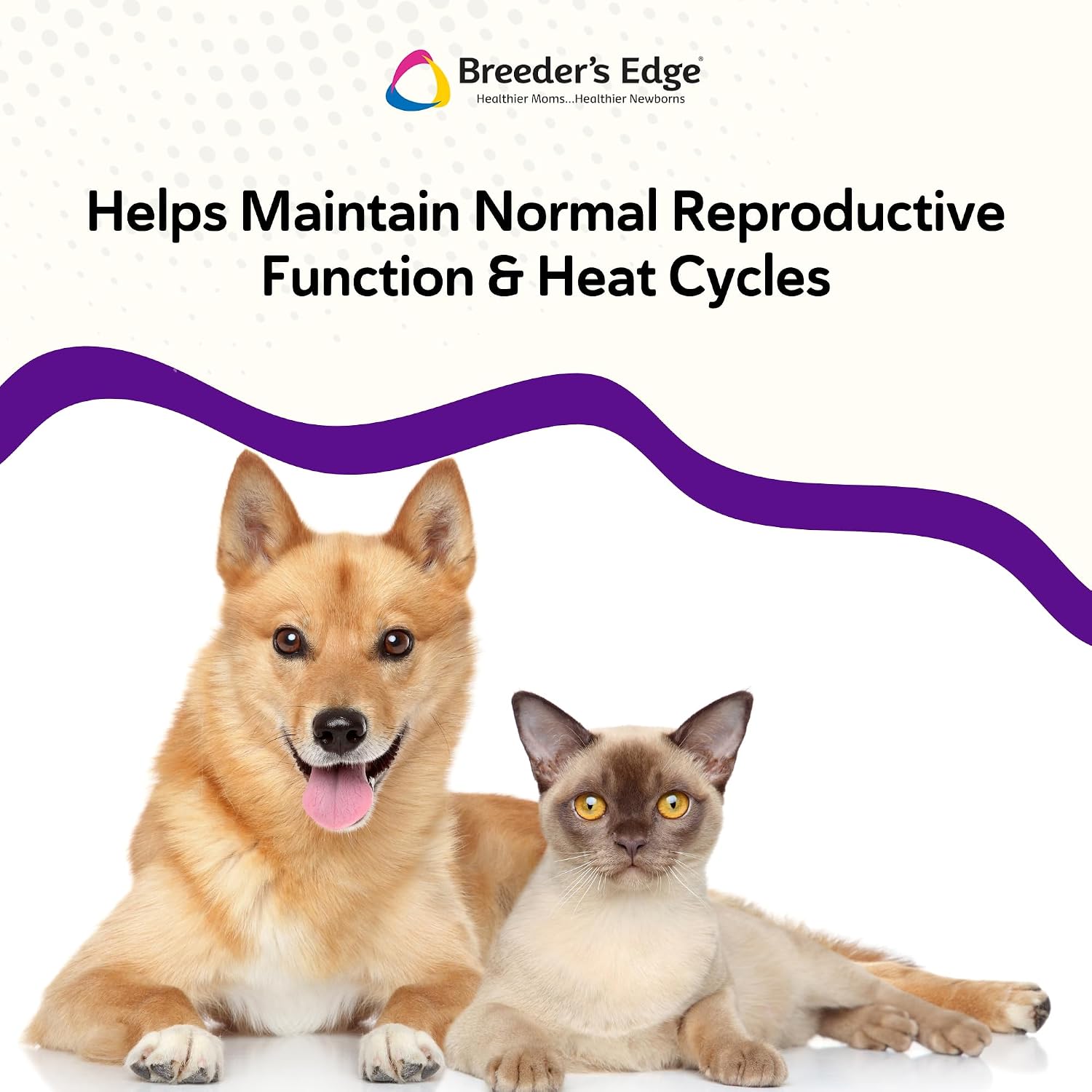 Breeder's Edge B Strong Powder - B Complex for Dogs and Cats, 1 kg