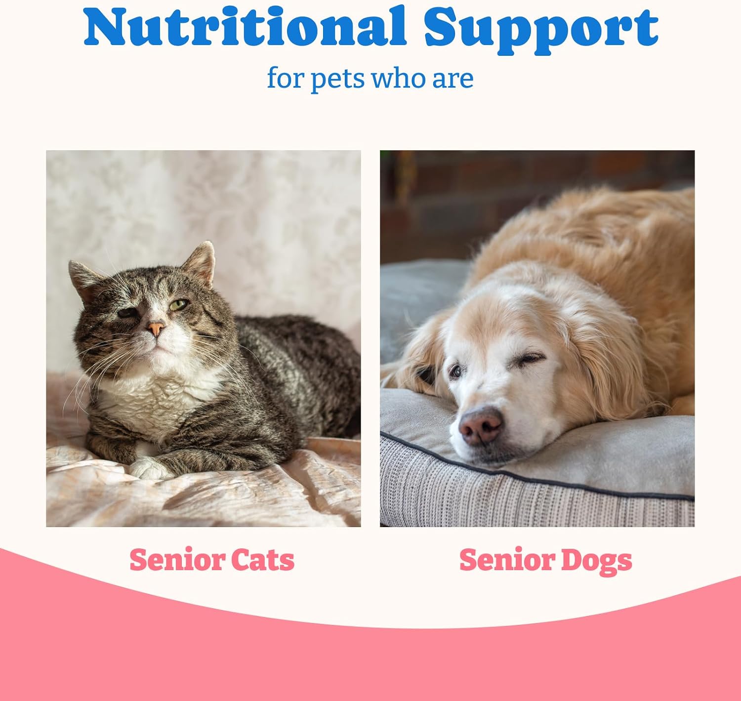 Gel Nutricional con Calostro Bovino para Perros y Gatos - Suplemento de Alto Contenido Calórico