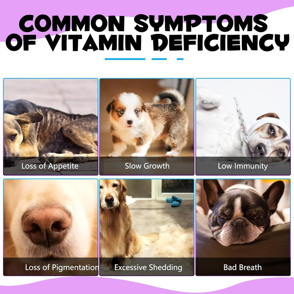 Multivitamínico Líquido 15 en 1 para Perros – Apoyo Articular, Piel y Digestión (60 ml)