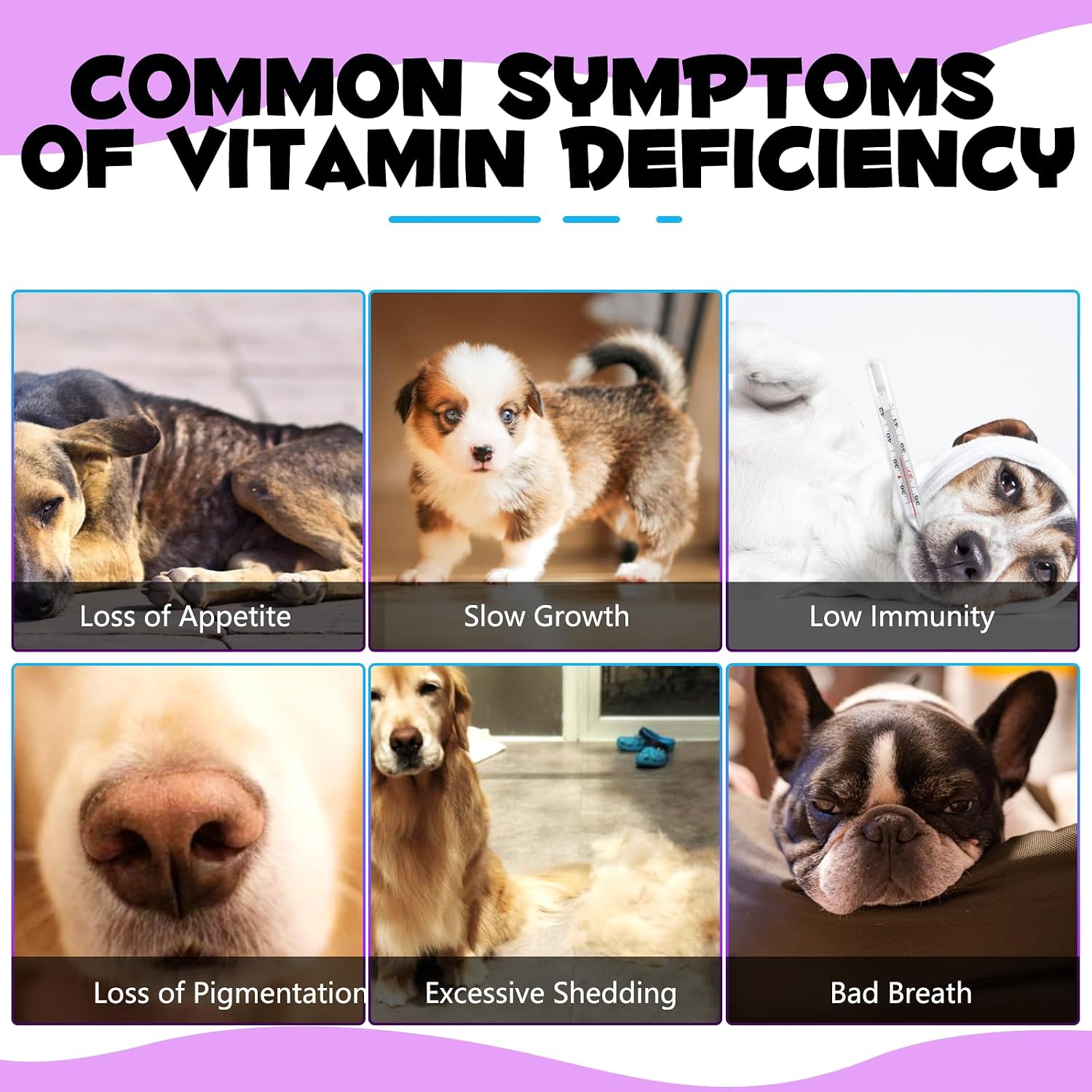 Multivitamínico Líquido 15 en 1 para Perros – Apoyo Articular, Piel y Digestión (60 ml)
