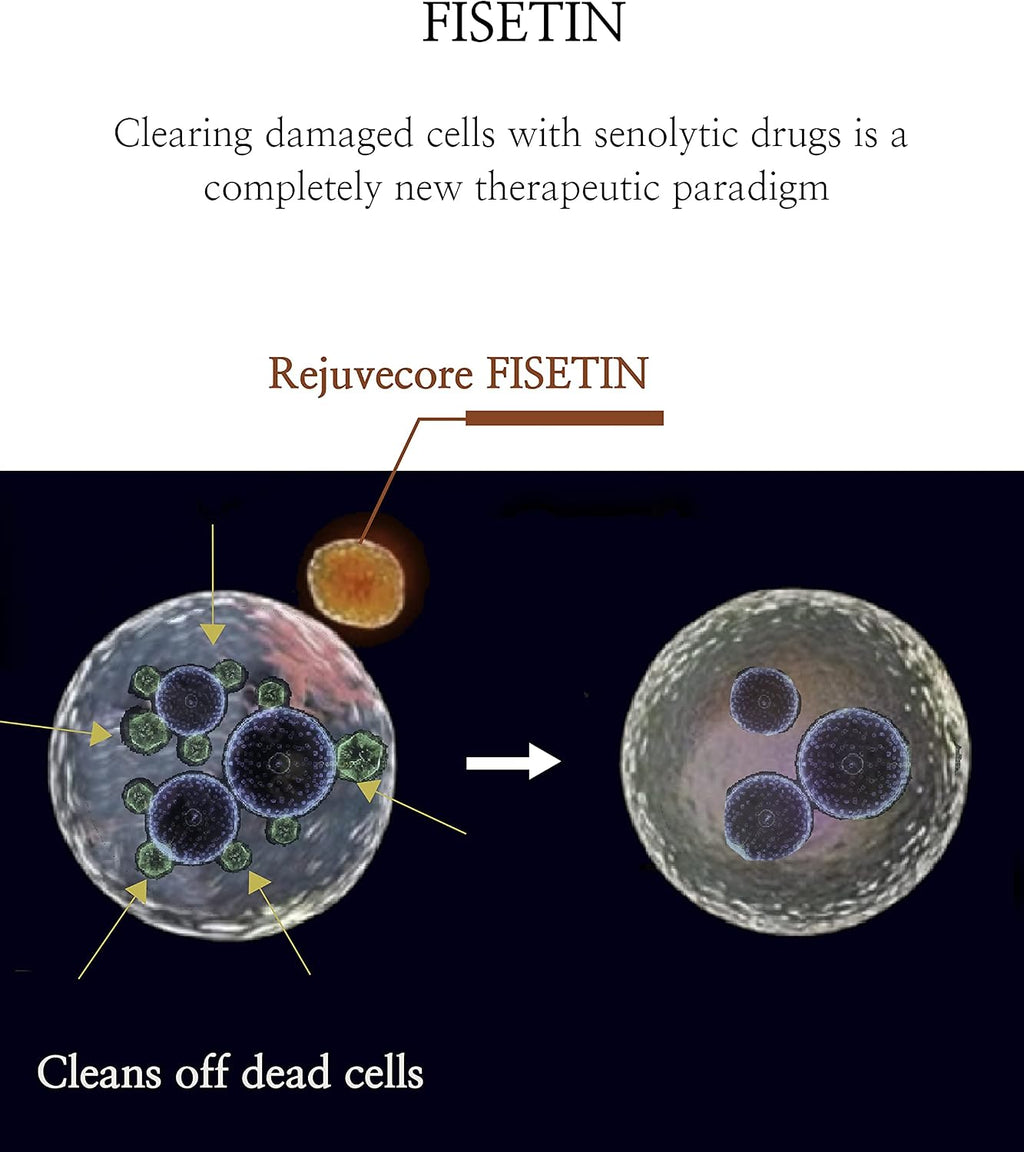 Rejuvecore Fisetin (60 Cápsulas) - Complemento Antiedad con Bioperine