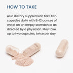 The Wellness Company Spike Support – Detox, Salud Inmunitaria, Flujo Sanguíneo – Nattokinasa, Raíz de Diente de León y Extracto de Black Sativa | 60 Cápsulas (1 Mes)