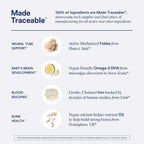 Ritual Multivitamínico Prenatal para Mujeres - Vitaminas y Minerales Esenciales para el Embarazo - Ácido Fólico, Colina, Omega-3 DHA, Hierro - Vegano - Menta - 60 Cápsulas - 30 Dosis
