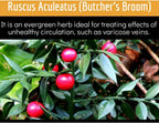 Clinical Daily Suplemento para la Circulación Sanguínea con Butcher's Broom, Horse Chestnut, Hawthorn, Cayena, Arginina, Diosmina - 180 Cápsulas