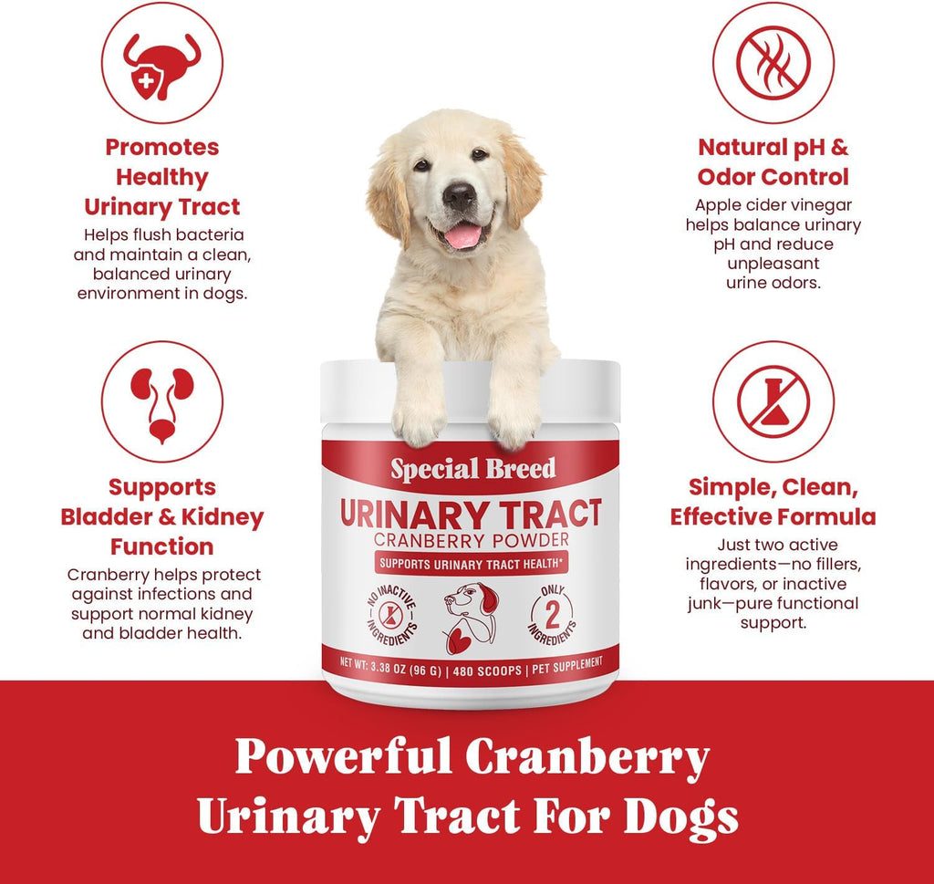 Tratamiento Urinario para Perros con Arándano Rojo – Salud de Vejiga y Riñones – Special Breed