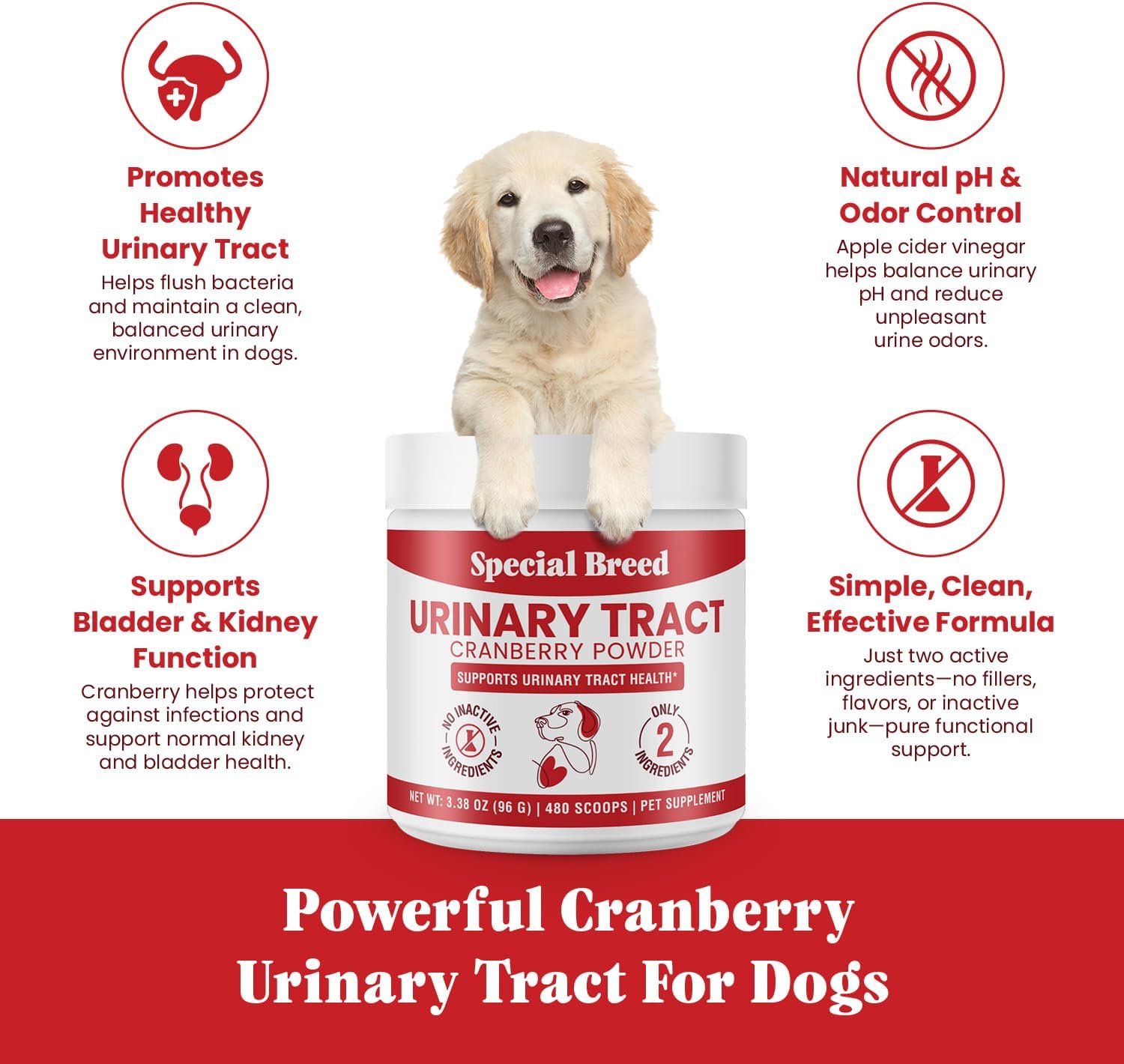 Tratamiento Urinario para Perros con Arándano Rojo – Salud de Vejiga y Riñones – Special Breed