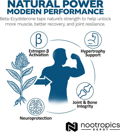 Nootropics Depot Beta Ecdysterone 50% - 500mg - 90 Cápsulas – Image 8