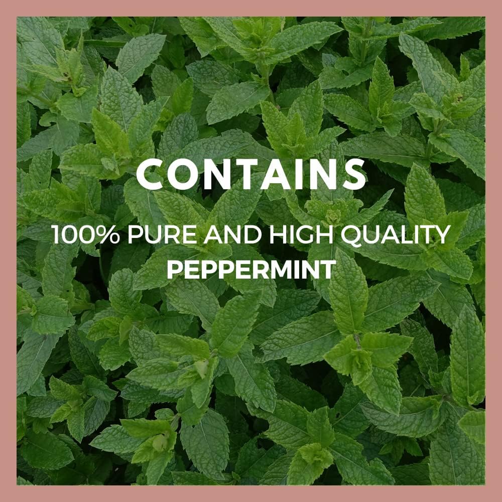 Remedy’s Nutrition Hoja de Menta Piperita – 1000 mg, 60 Cápsulas Veganas – Suplemento Herbal