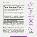 biophix B-3 Niacinamide 1000 mg 60 Tablets Sustained Release - No-Flush
