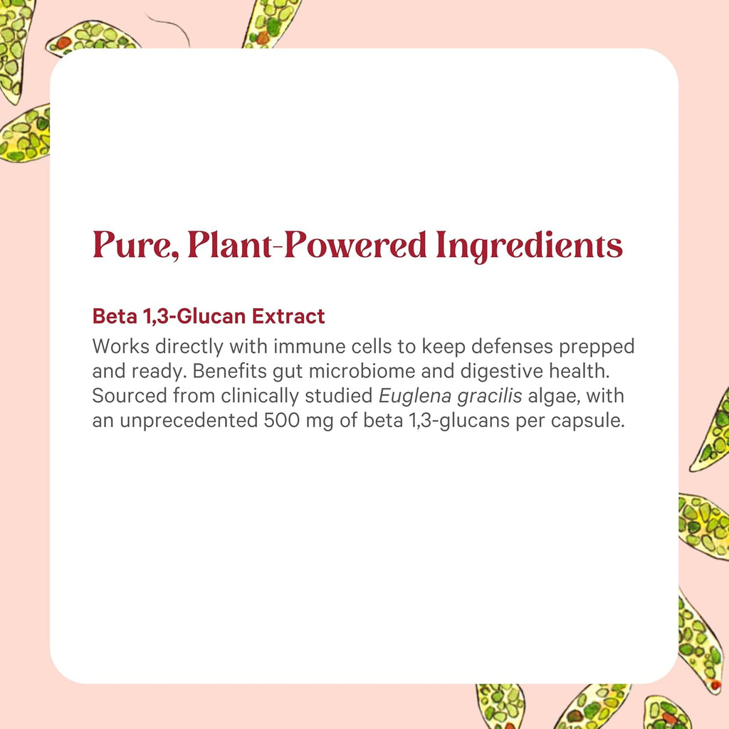 PURE SYNERGY SuperPure Beta 1,3-Glucan Extract – 60 Cápsulas