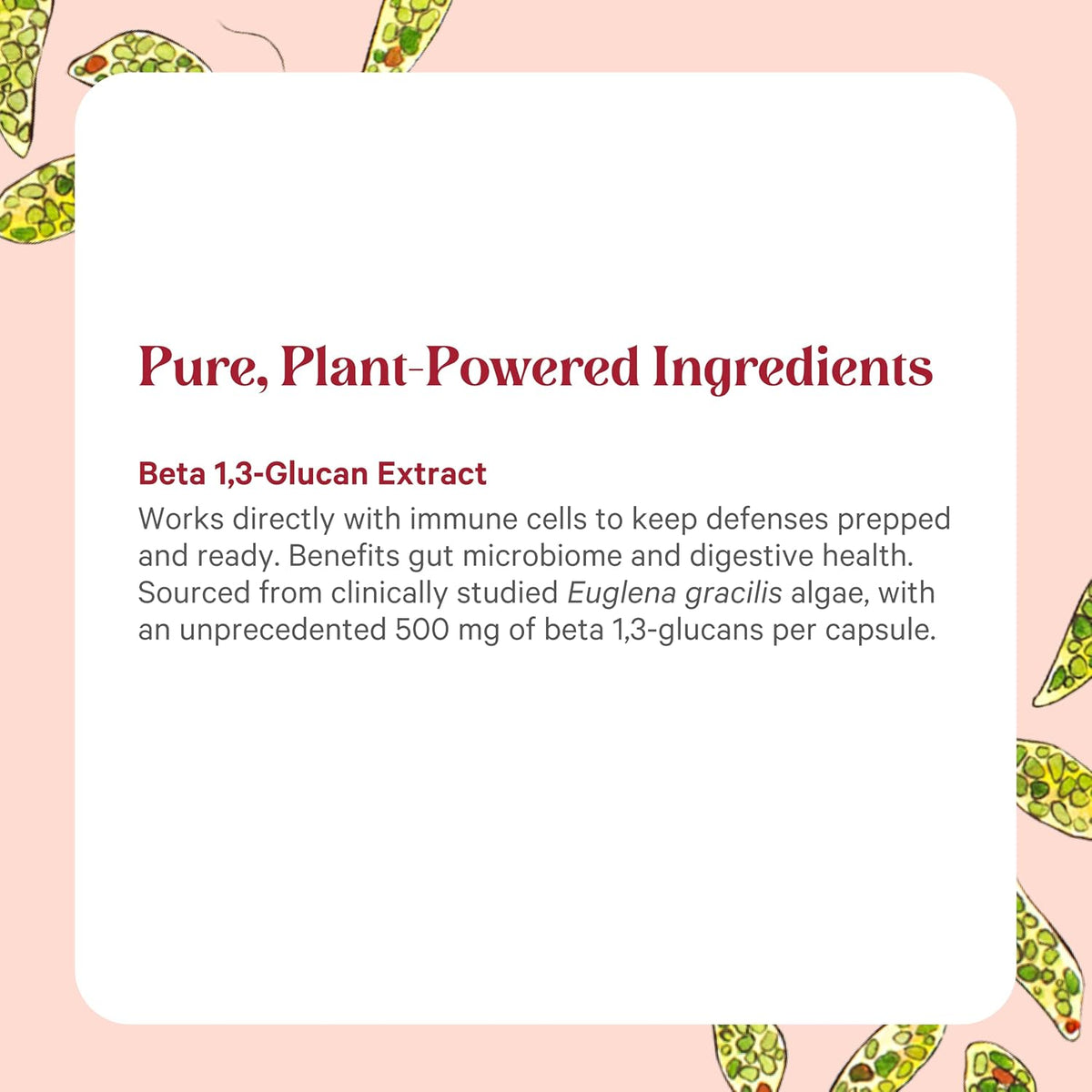 PURE SYNERGY SuperPure Beta 1,3-Glucan Extract – 60 Cápsulas – Image 5