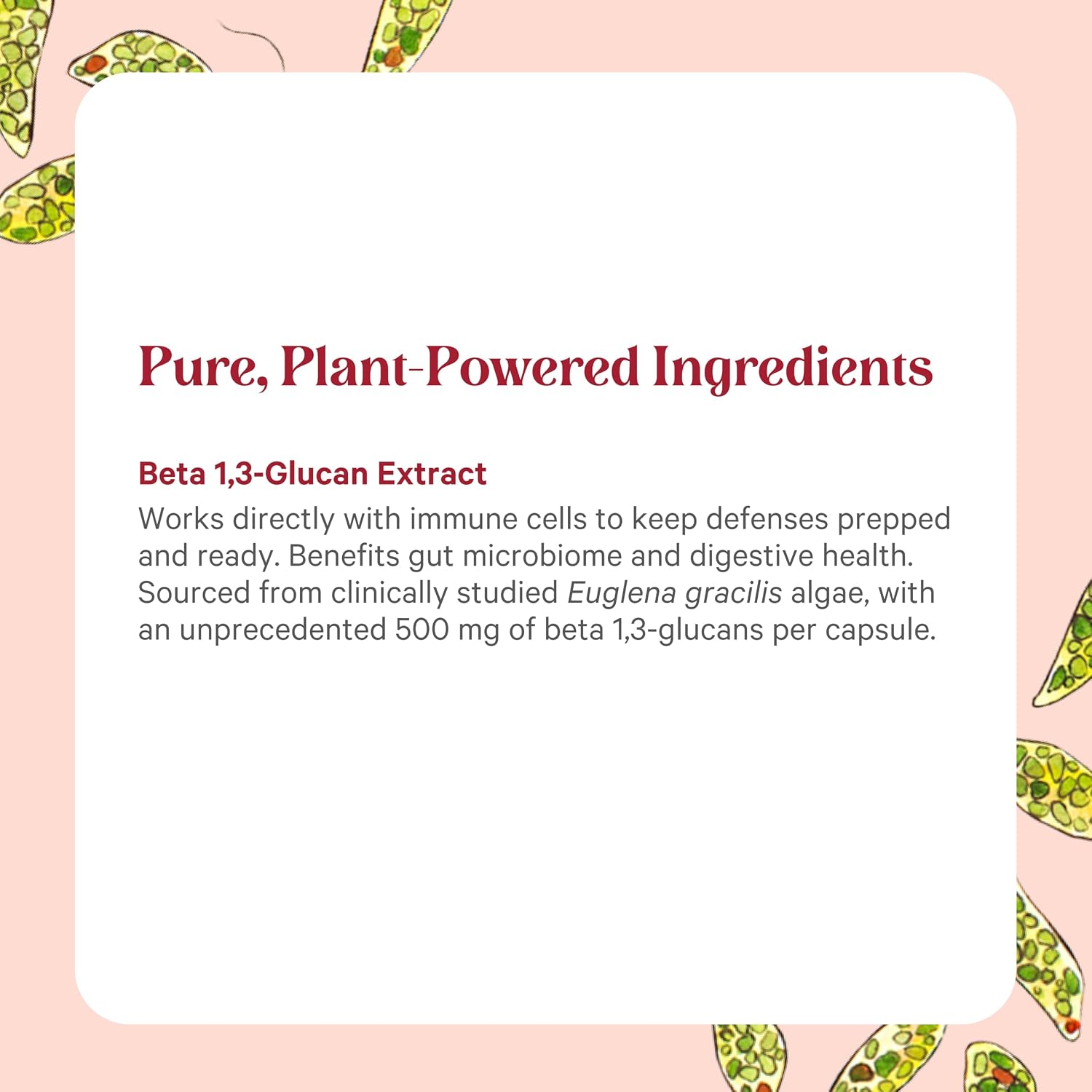 PURE SYNERGY SuperPure Beta 1,3-Glucan Extract – 60 Cápsulas
