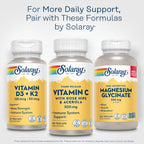 Solaray Vitamin C 500 mg with Rose Hips - Sustained Release Capsules, 100 Count