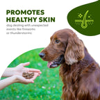 Wholesome Pet Wags – Snacks Blandos para Alivio de Alergias y Picor en Perros – Omega-3, Biotina, Colágeno – 60 uds