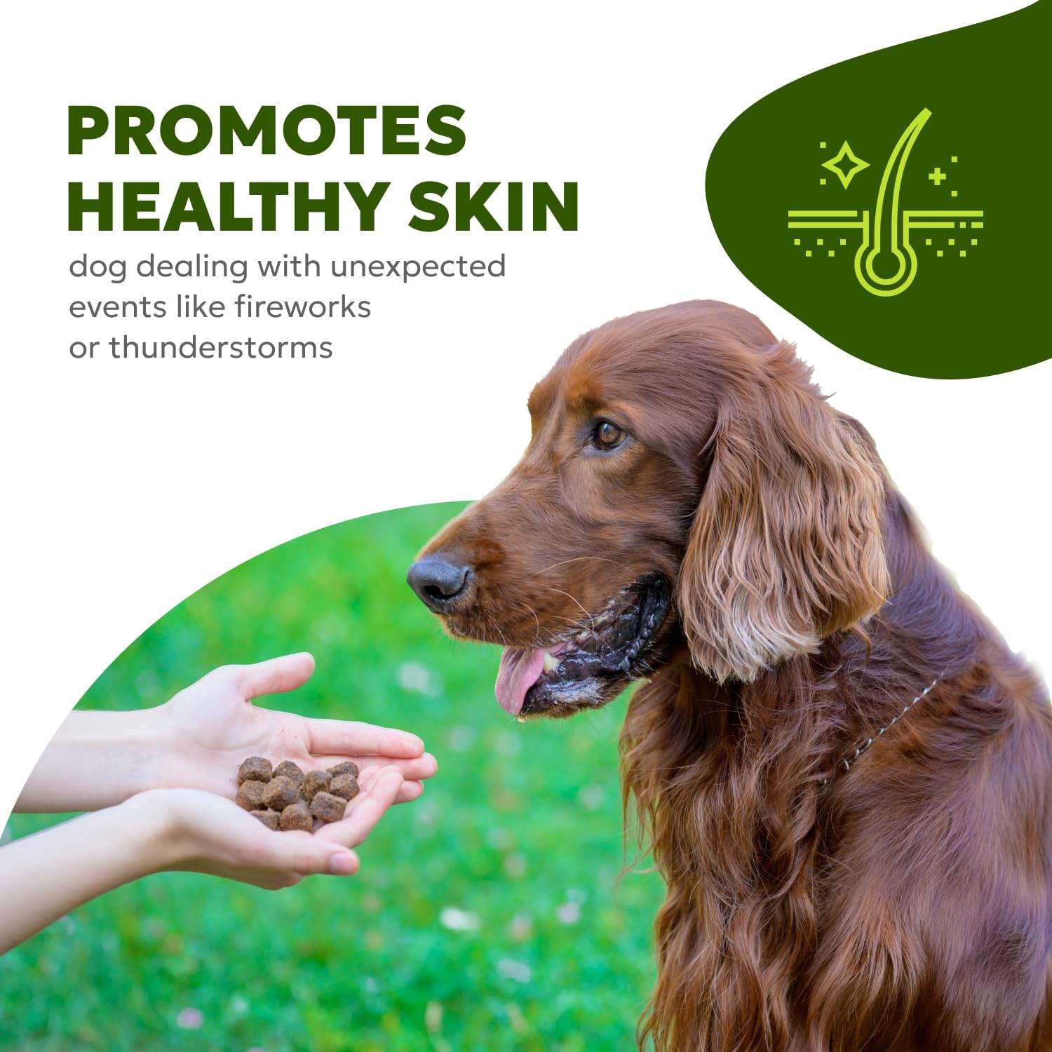 Wholesome Pet Wags – Snacks Blandos para Alivio de Alergias y Picor en Perros – Omega-3, Biotina, Colágeno – 60 uds